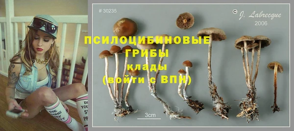 дурь Алексин