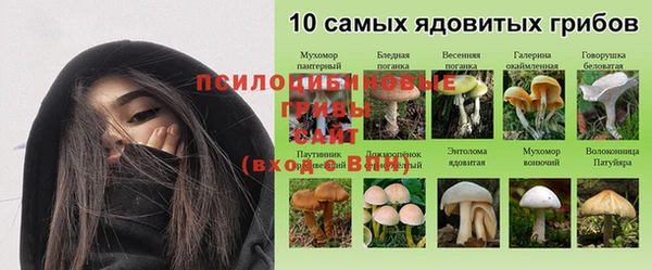 скорость mdpv Алзамай