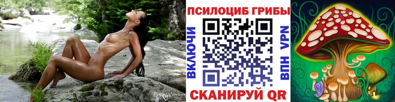 Псилоцибиновые грибы MAGIC MUSHROOMS цена mega Иркутск